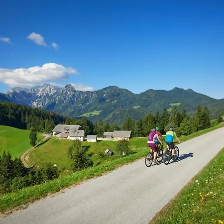 Privatunterkunft Prenocisca Mraz *