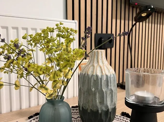 Prenocisca Mraz منزل للإقامة *