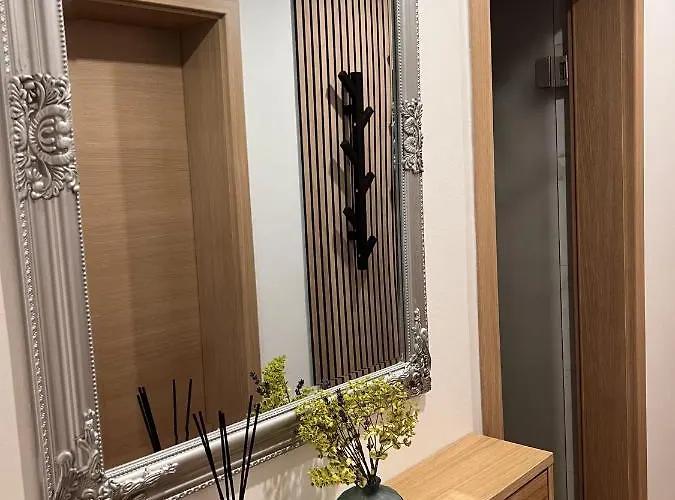 Prenocisca Mraz * فيلينيه